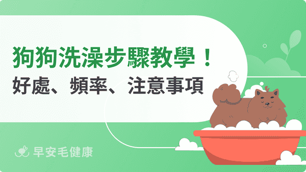 狗狗洗澡完整流程!6步驟圖解教學&注意事項一次看!