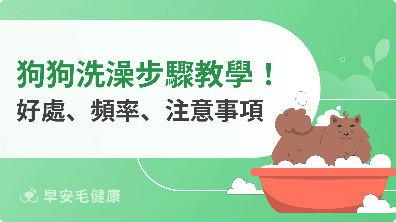 狗狗洗澡怎麼洗才對？正確步驟、水溫頻率、生理期注意事項