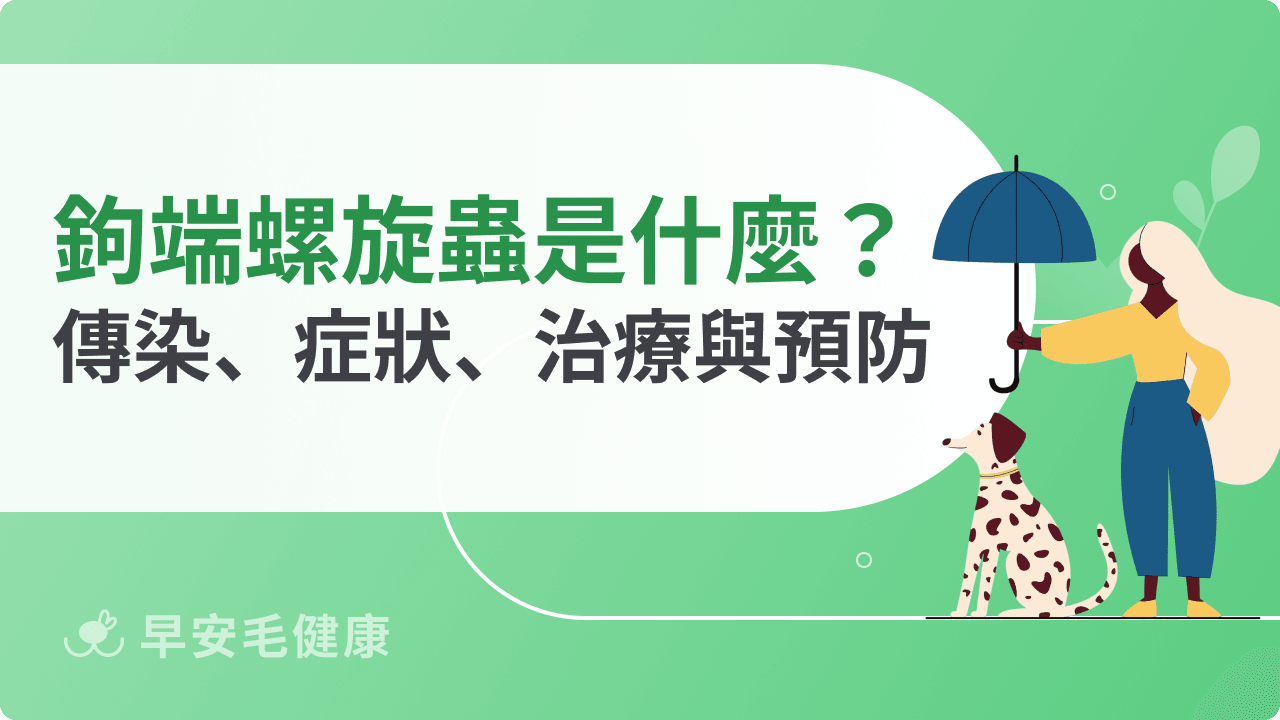 鉤端螺旋體死亡率達 20%！狗狗感染症狀、疫苗與治療飼主須知