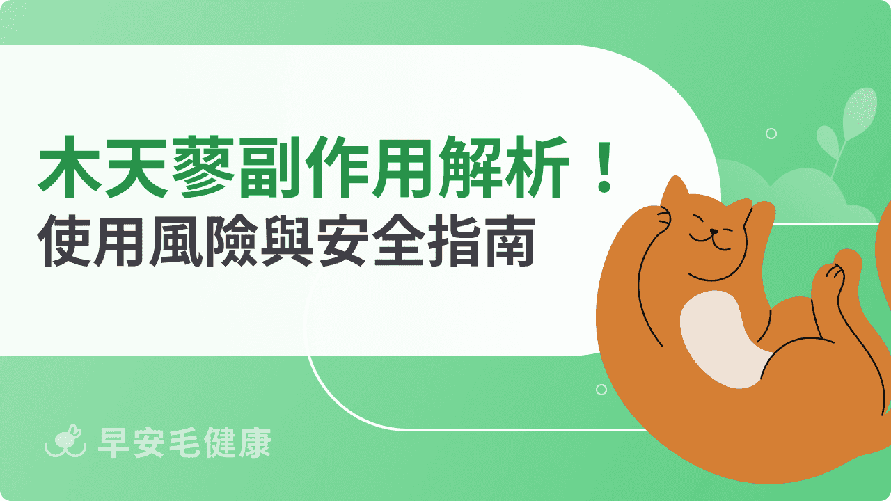 木天蓼貓副作用解析！木天蓼使用風險與安全指南