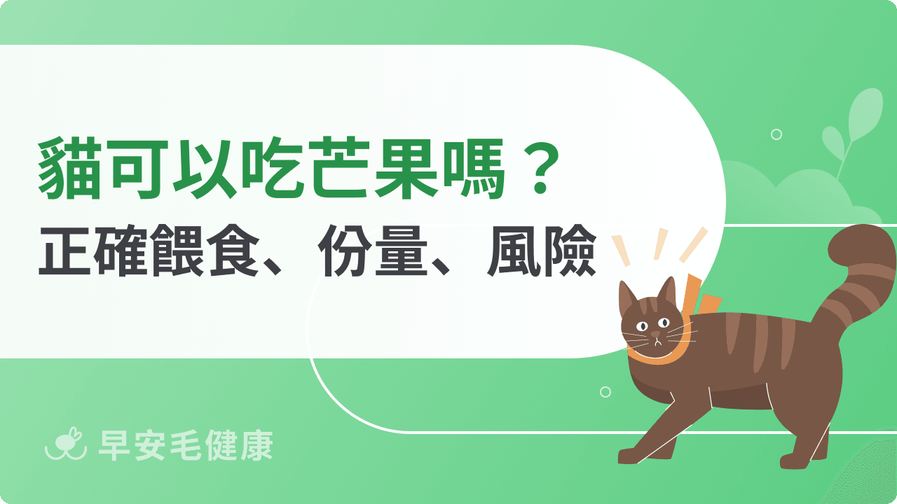 貓可以吃芒果嗎?怎麼安全餵貓吃芒果?