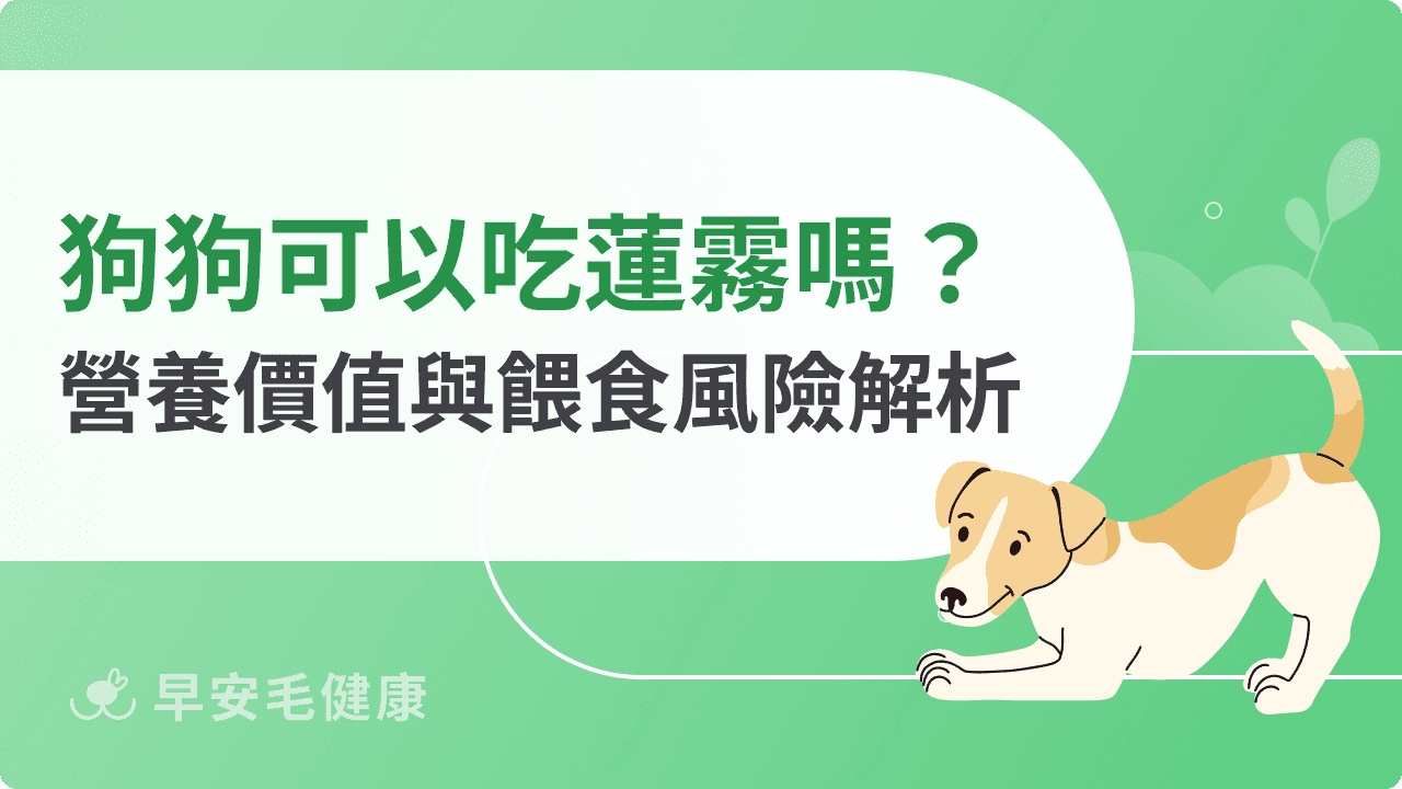 狗狗可以吃蓮霧嗎？食用份量、營養、風險與正確餵食指南