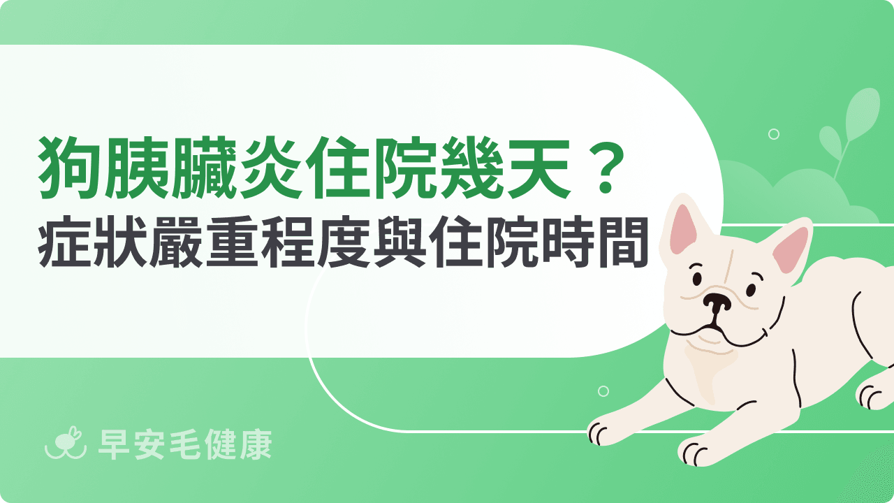 狗狗胰臟炎要住院幾天?症狀嚴重程度與住院時間關係解析