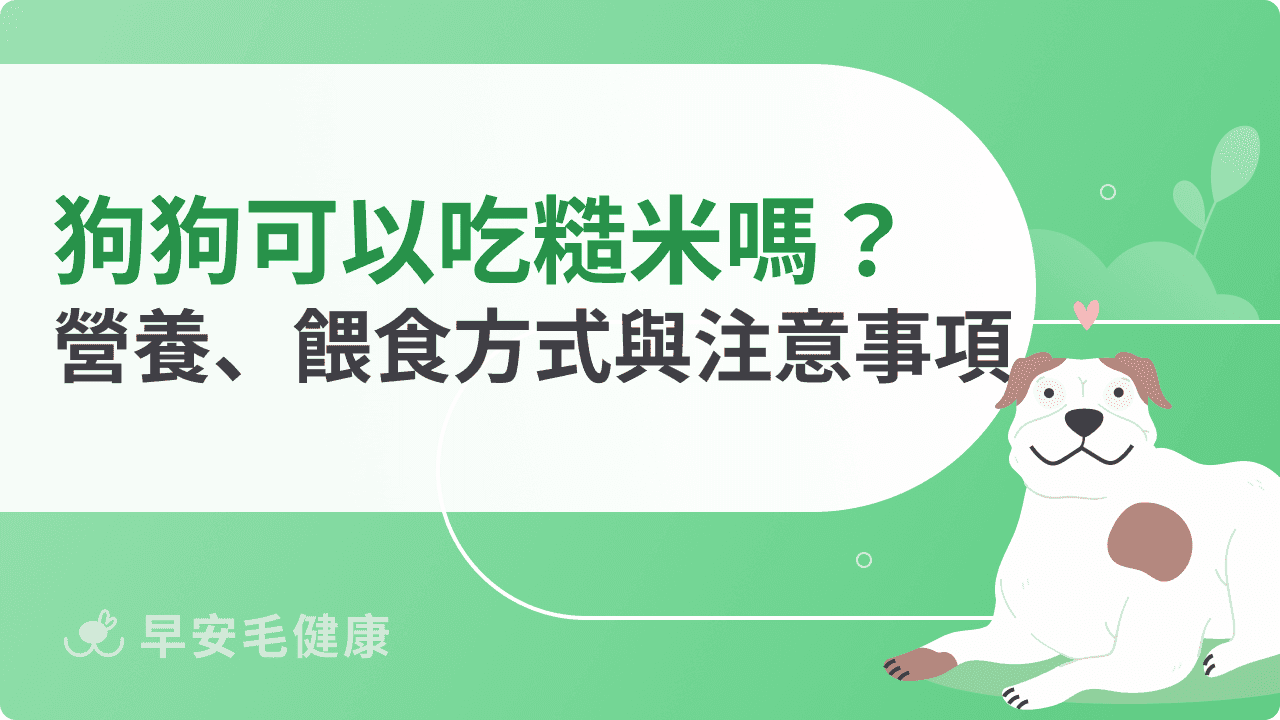 狗狗可以吃糙米嗎？營養成分、餵食方式與注意事項