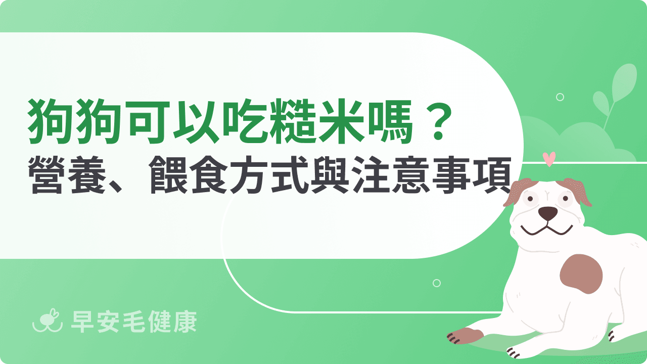 狗狗可以吃糙米嗎?營養成分、餵食方式與注意事項