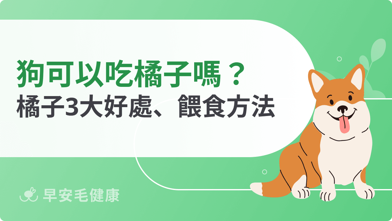 狗可以吃橘子嗎？可以！但小心避開這三個部位