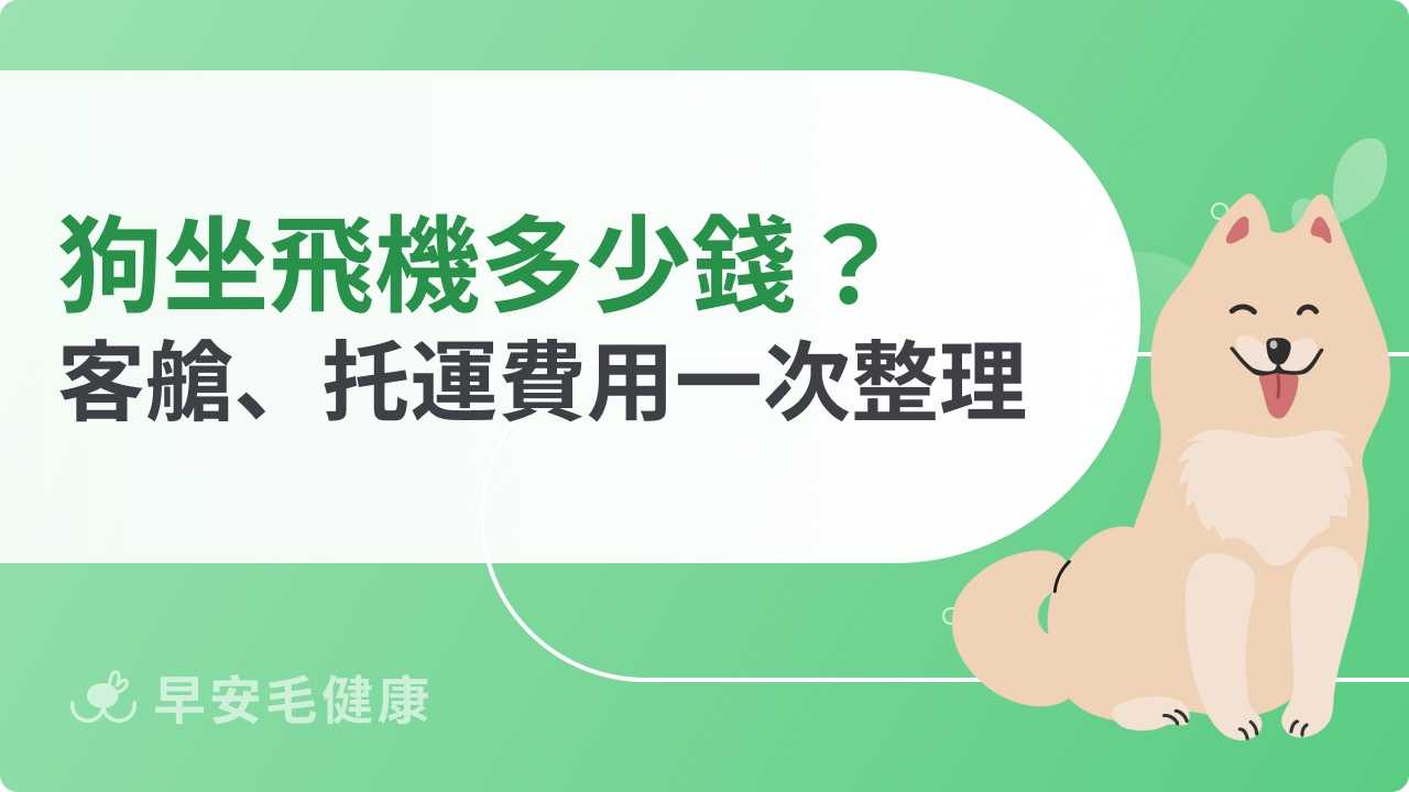 狗坐飛機多少錢?航空公司費用、運輸方式與注意事項