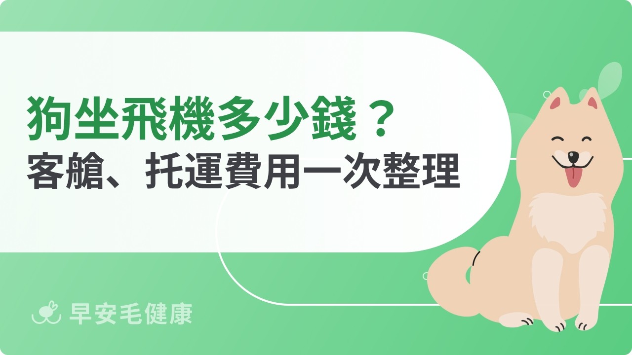 狗坐飛機多少錢？航空公司費用、運輸方式與注意事項