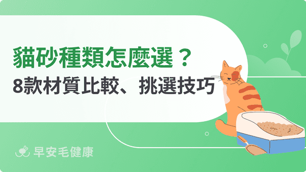 貓砂種類該選哪一種？礦砂、豆腐砂、木屑砂 8 款材質優缺點比較