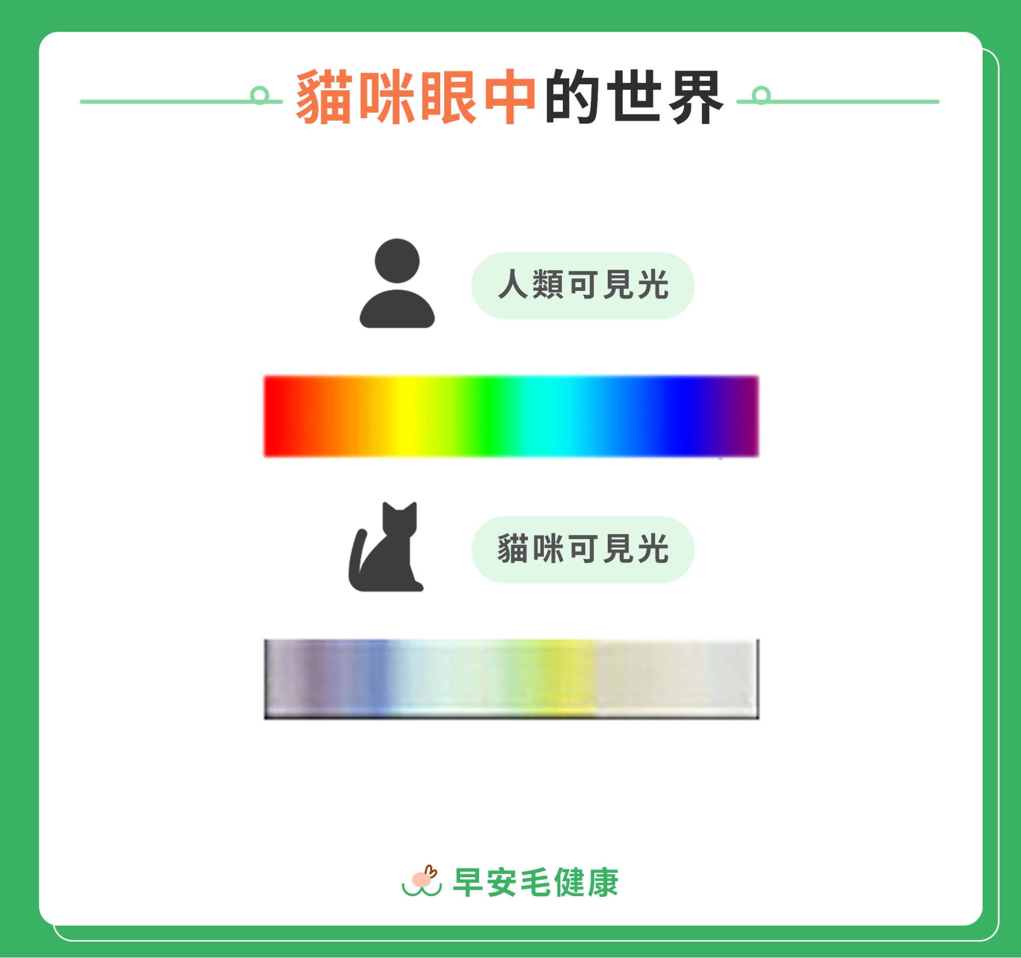 5. AI-cat-color-blindness-2
