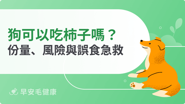 狗可以吃柿子嗎?籽和皮才危險!果肉份量、柿石風險與誤食處理