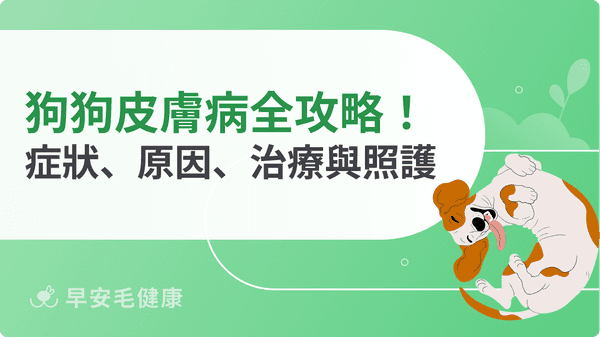狗狗皮膚病全攻略：9種症狀照片辨識、結痂膿包原因與治療費用