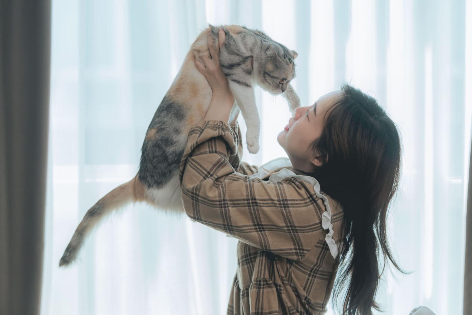 女性飼主將三花貓高舉至臉部前方的親密互動照