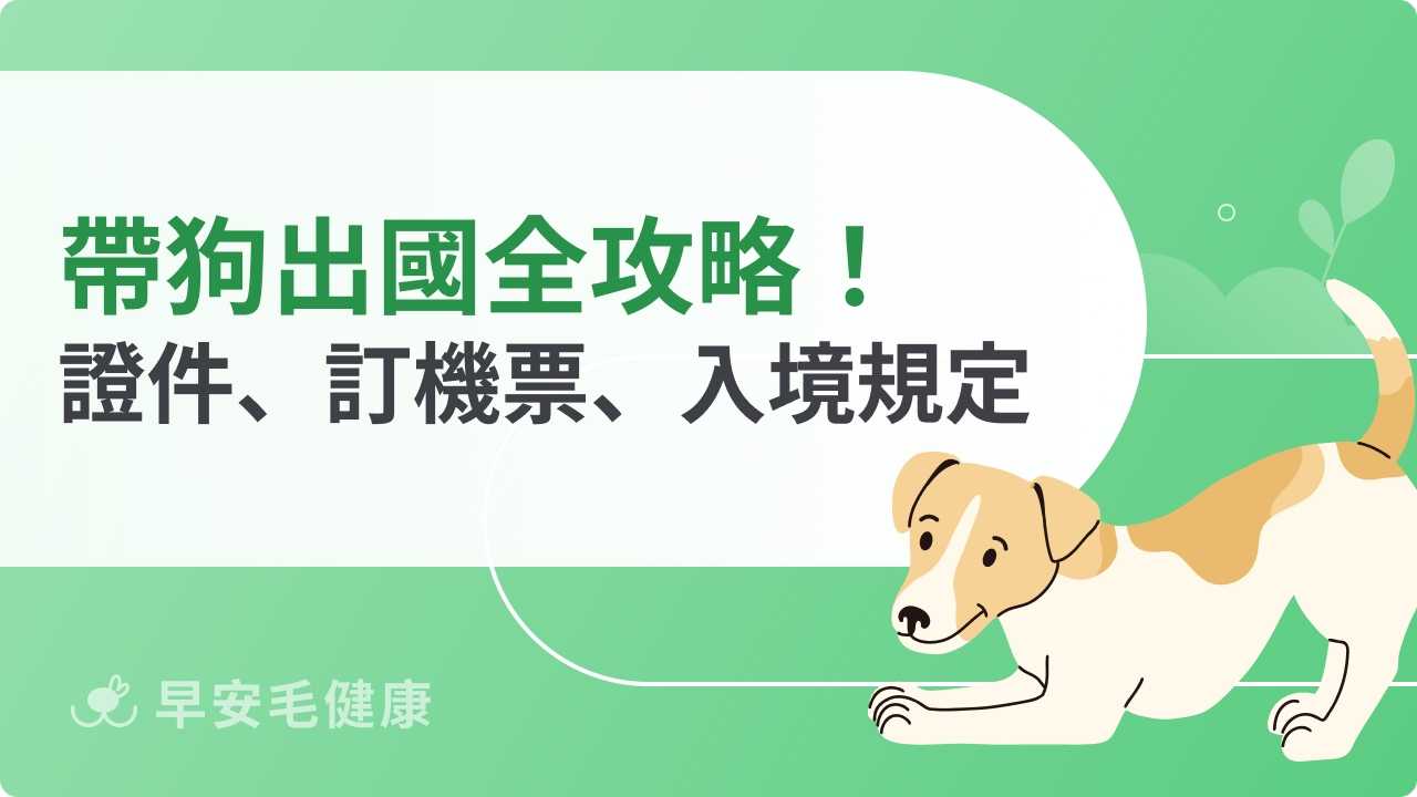 帶狗出國全攻略!辦證件、訂機票、入境規定一次看