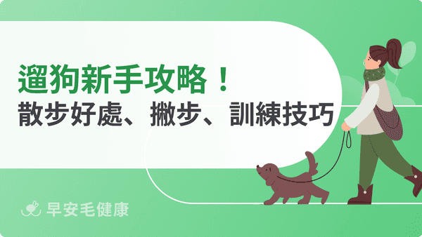 遛狗要注意什麼？狗狗散步時間、撇步與訓練技巧（新手教學）