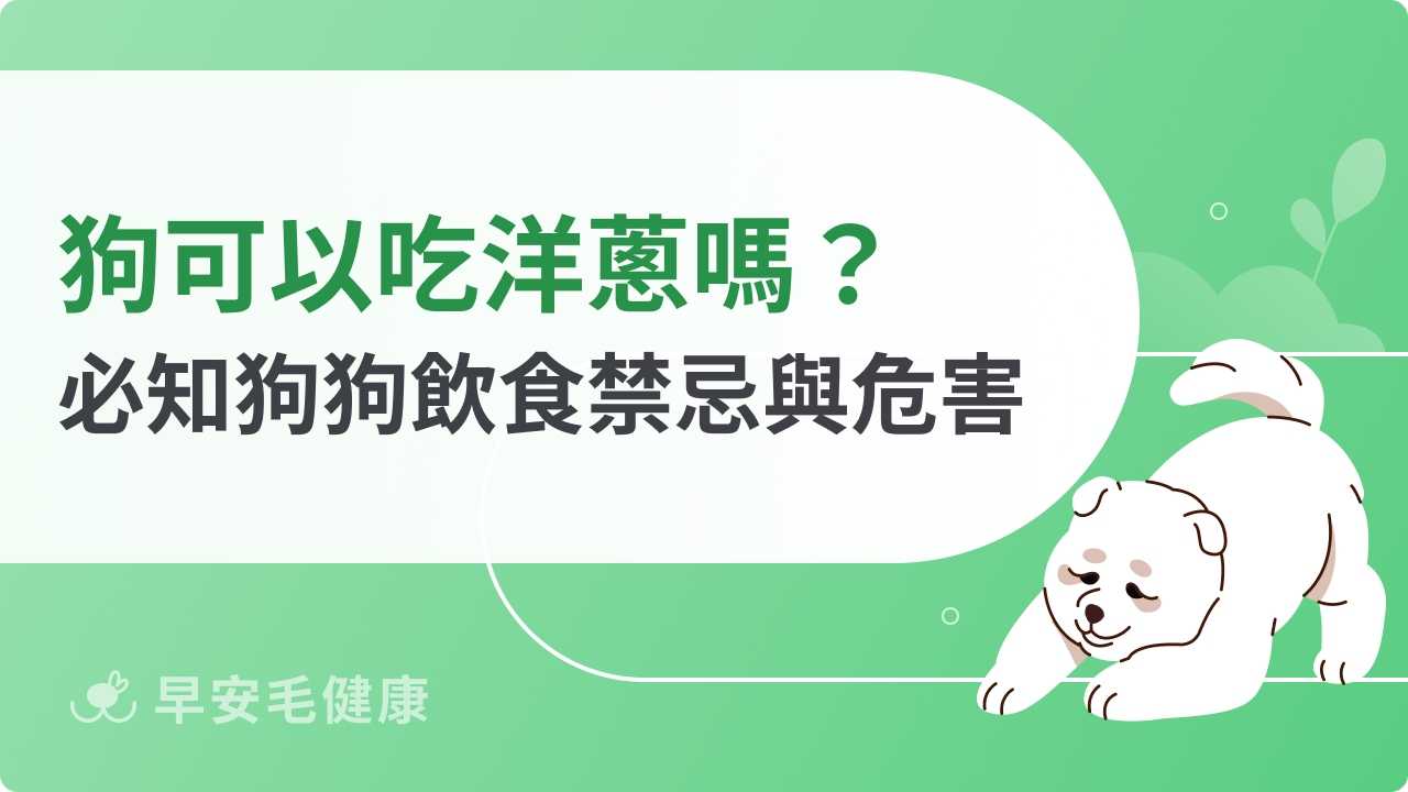 狗可以吃洋蔥嗎？狗狗誤食洋蔥的處置與急救指南！