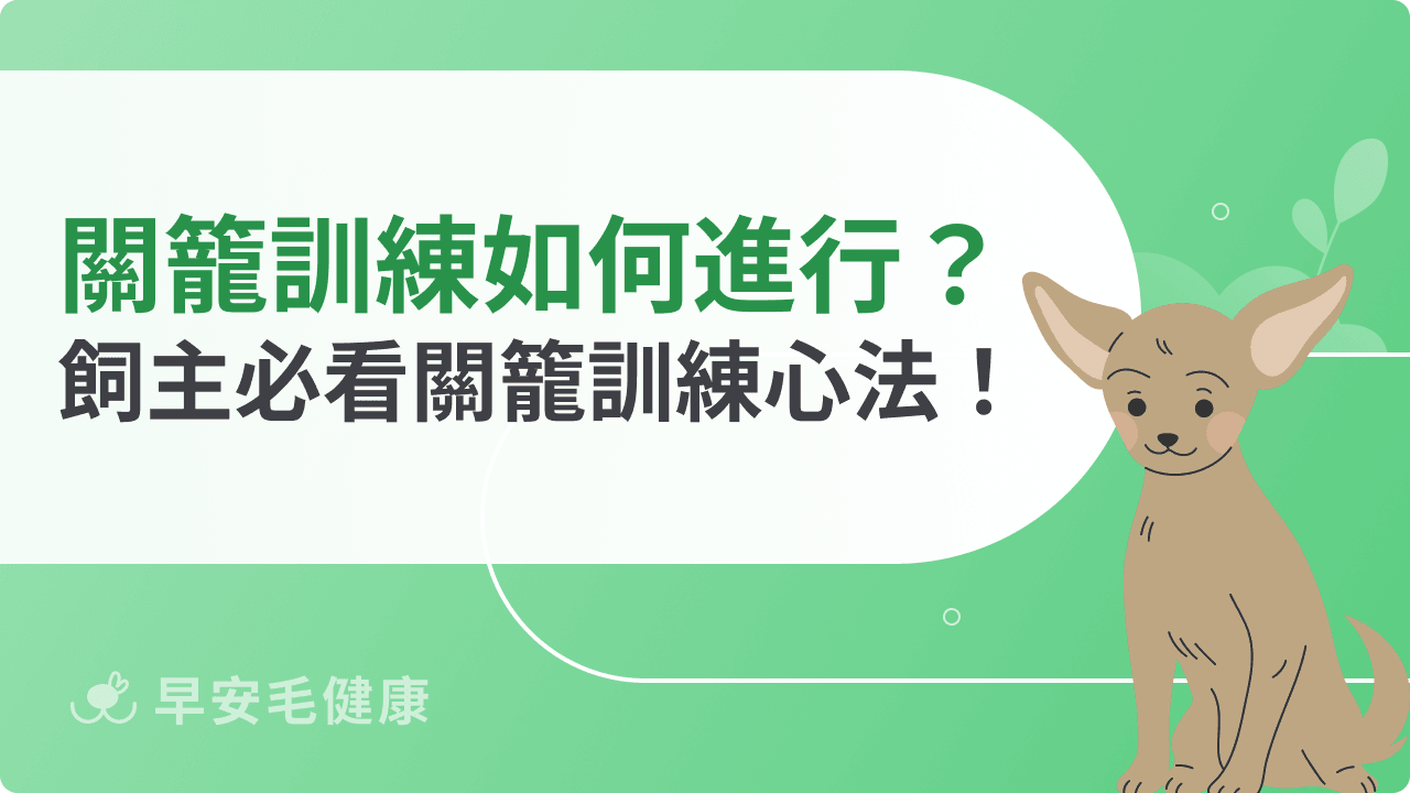 關籠訓練如何進行?飼主必看關籠訓練心法!