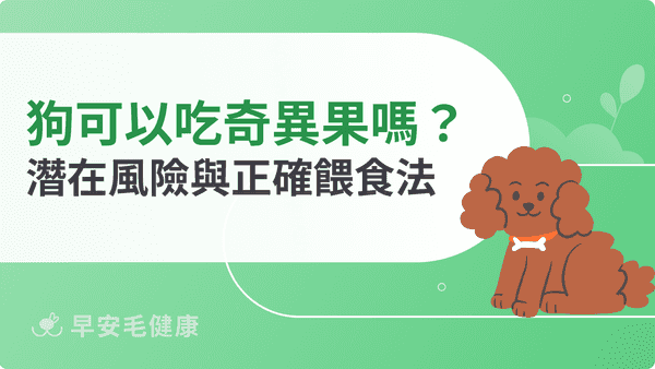 狗可以吃奇異果嗎？營養好處、餵食風險與安全份量指南
