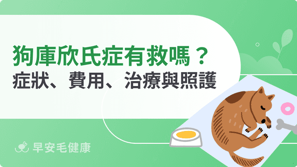 庫欣氏症狗狗能治好嗎?症狀、檢查費用、治療與飲食照護