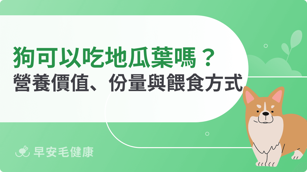 狗可以吃地瓜葉嗎?營養優點、副作用與適合餵食頻率