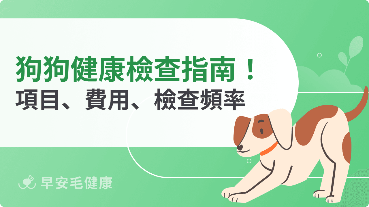 狗狗健康檢查指南!項目、費用、檢查頻率全解析