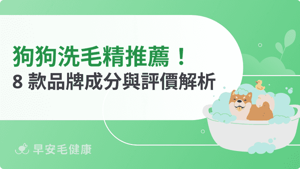 2026 狗狗洗毛精推薦：8 款熱門品牌成分與評價解析