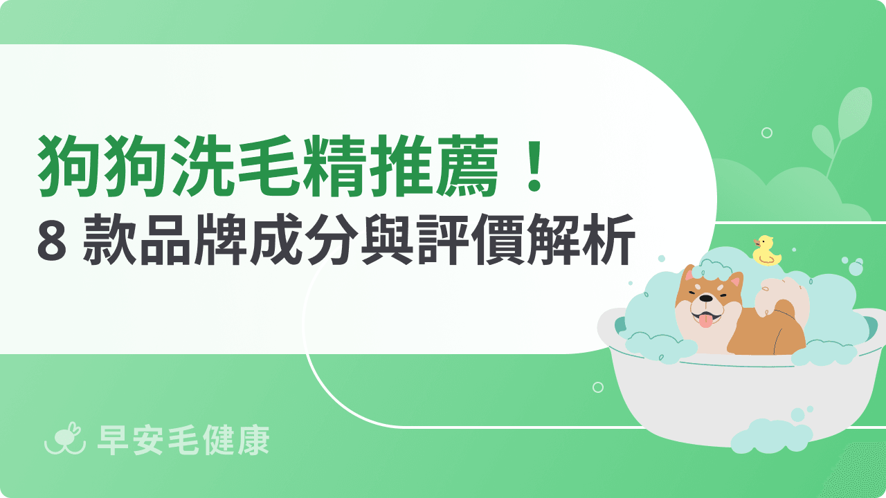 2026 狗狗洗毛精推薦：8 款熱門品牌成分與評價解析
