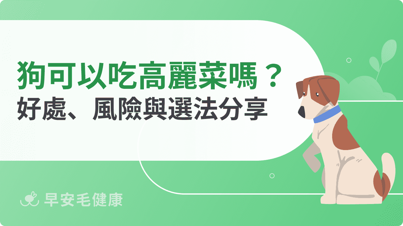 狗狗可以吃高麗菜嗎？挑對蔬菜狗狗也可以是蔬食愛好者！
