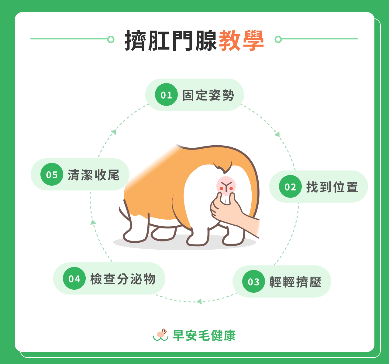 32.dog-cat-anal-gland-cleaning-3