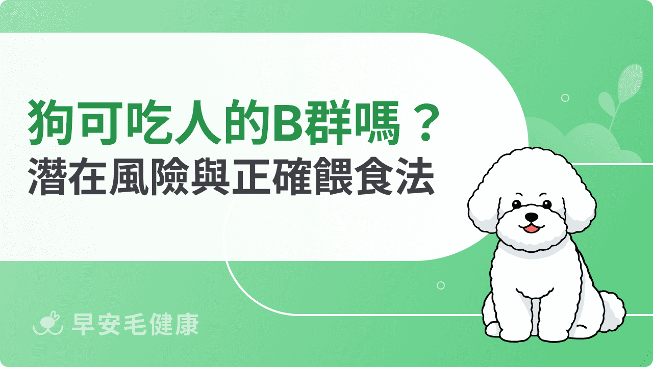 狗狗可以吃人的 B 群嗎？解析選擇毛孩專用保健品的重要性