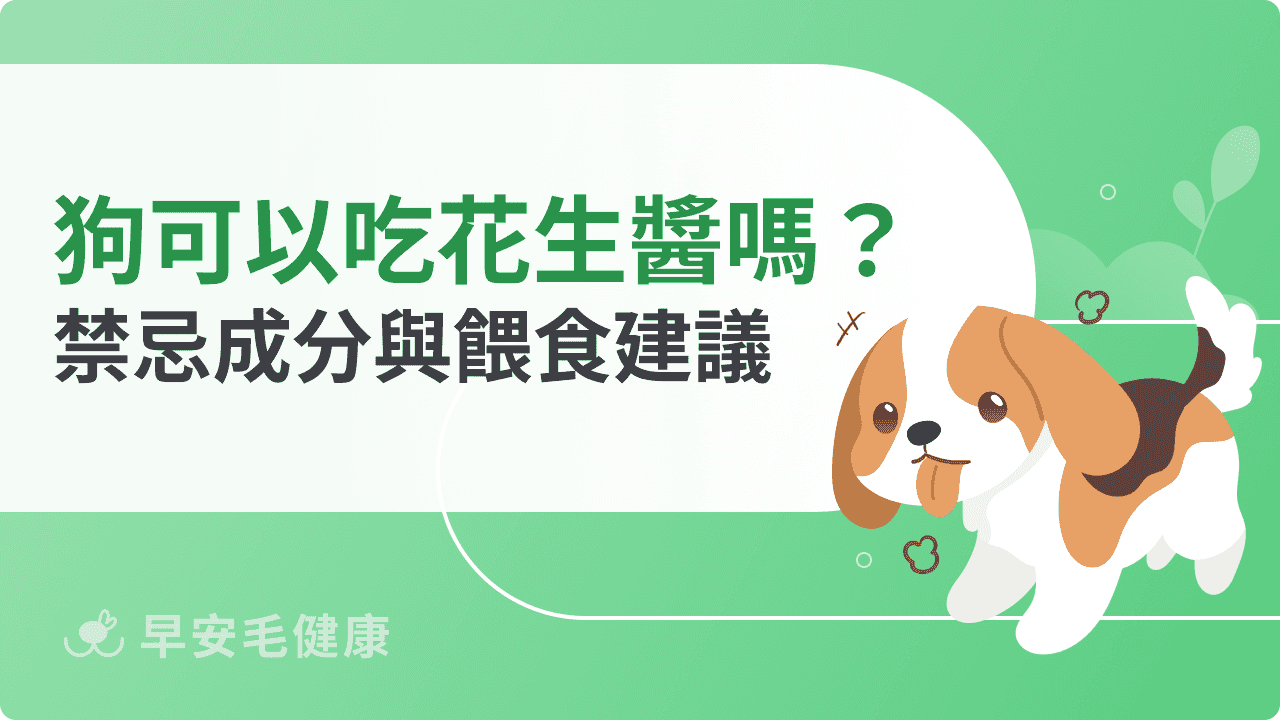 狗可以吃花生嗎？狗可以吃花生醬嗎？有這種成分千萬別餵！