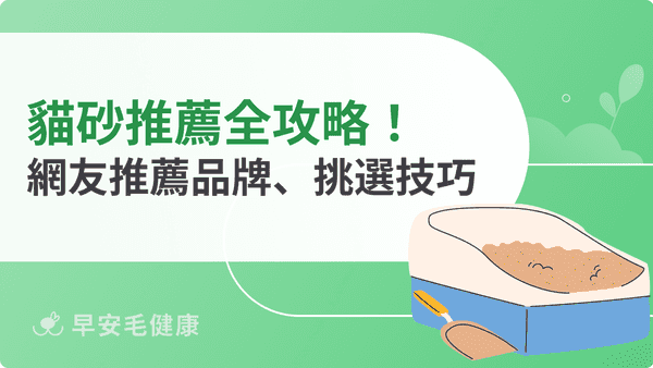 貓砂推薦全攻略!11款 Dcard/PTT熱門品牌、挑選技巧整理