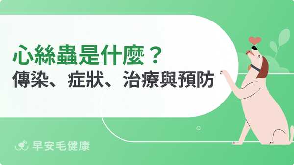 心絲蟲預防、症狀與治療!狗貓飼主必懂的隱形殺手防治指南