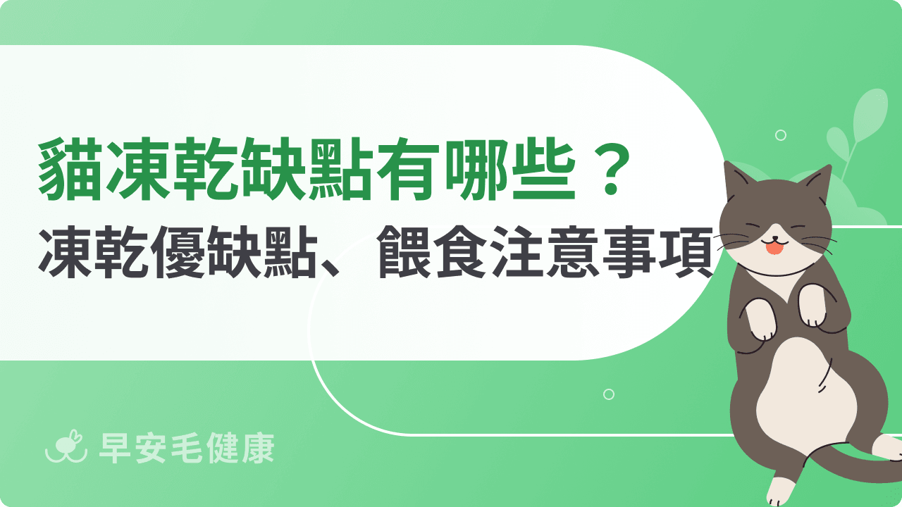 貓凍乾缺點有哪些?解密凍乾優缺點、餵食注意事項