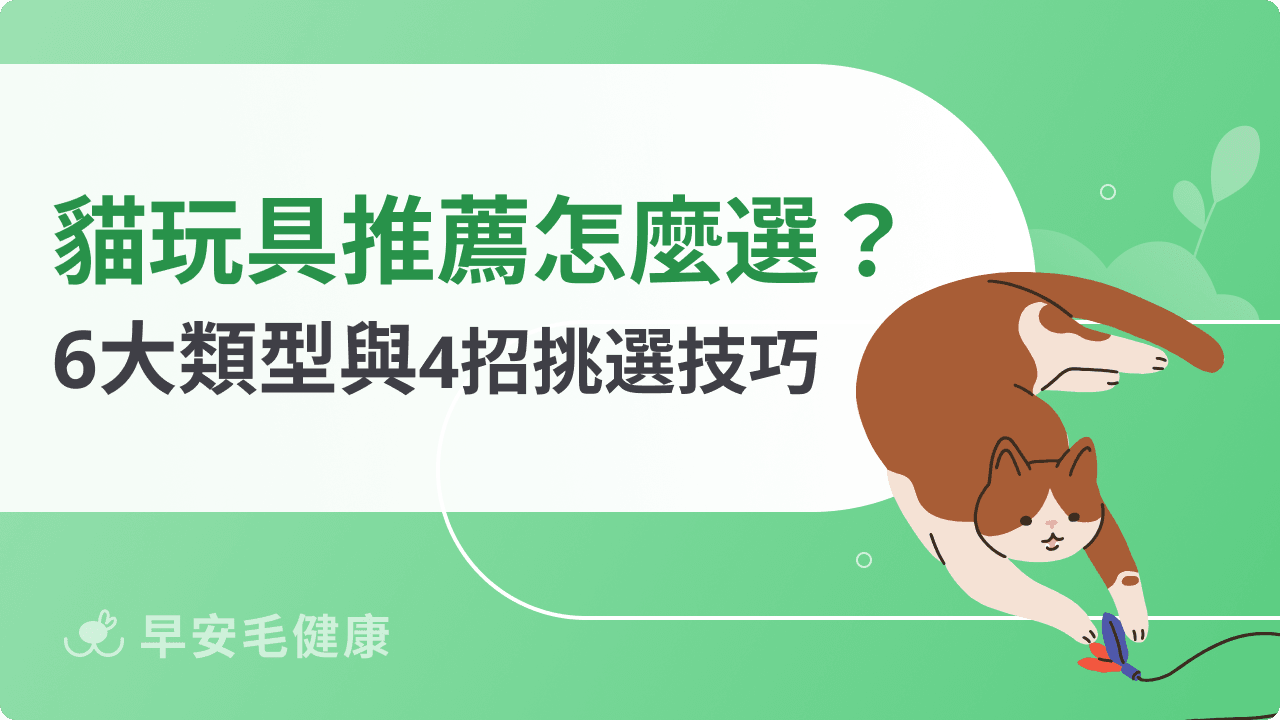 貓玩具推薦｜6 大類型與4招挑選技巧，讓貓咪越玩越開心