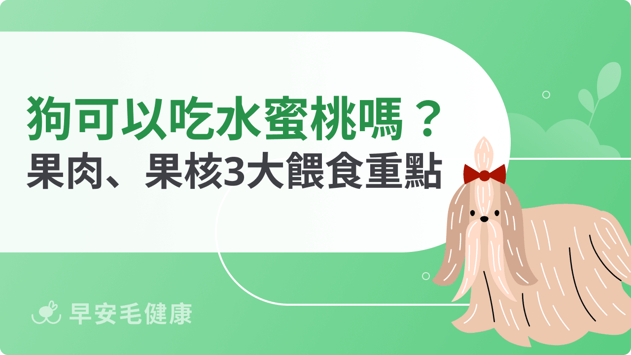 狗可以吃水蜜桃嗎?果肉能吃、果核別碰!份量、處理與誤食急救
