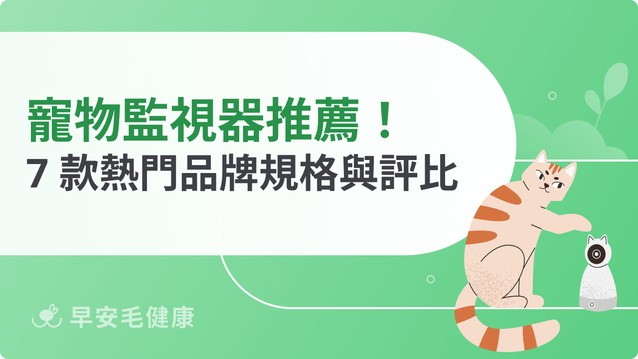 2026 寵物監視器推薦!7 款熱門品牌評比,出門也能安心看毛孩
