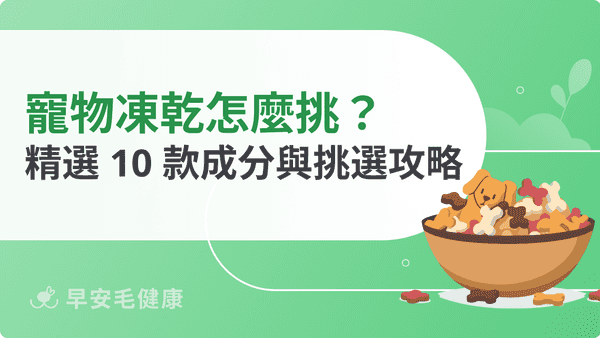 寵物凍乾健康嗎？精選 2026 年 10 款品牌評比與挑選攻略