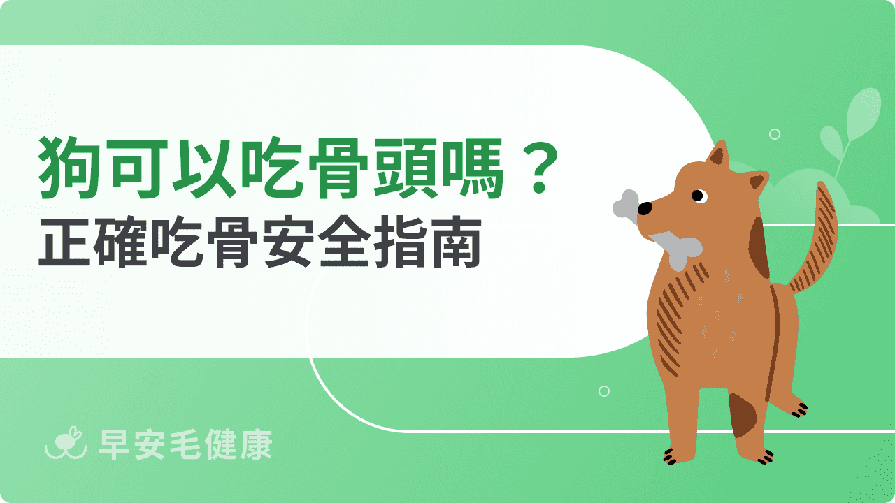 狗可以吃骨頭嗎？錯誤餵法恐致命！正確吃骨安全指南