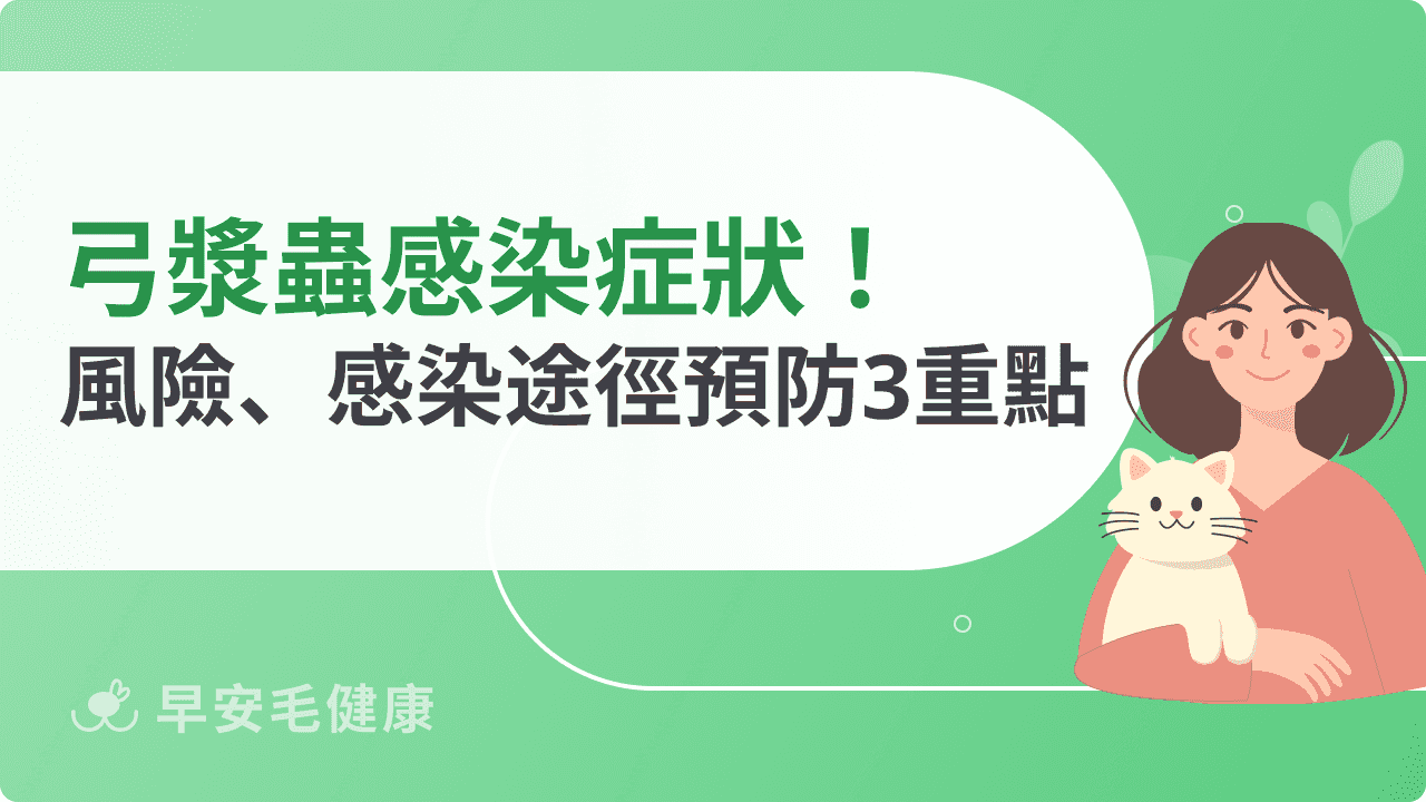 弓漿蟲對懷孕有什麼影響？感染途徑、孕期風險、預防重點一次看