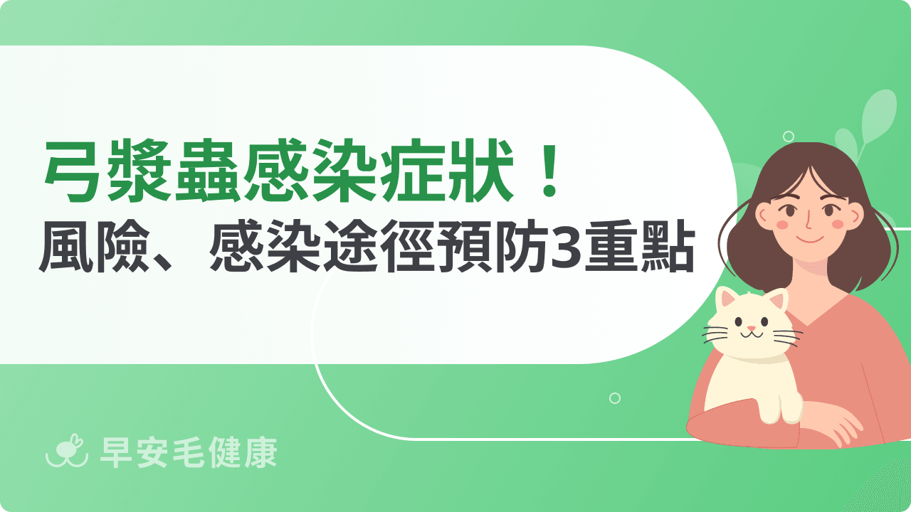 弓漿蟲對懷孕有什麼影響？感染途徑、孕期風險、預防重點一次看
