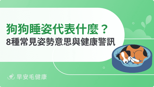 狗狗睡姿代表什麼？8 種常見姿勢含義、健康警訊與助眠方法