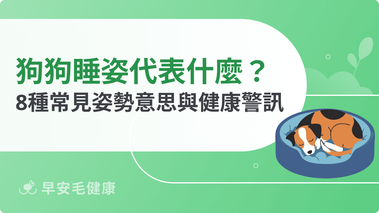 狗狗睡姿代表什麼？8 種常見姿勢含義、健康警訊與助眠方法