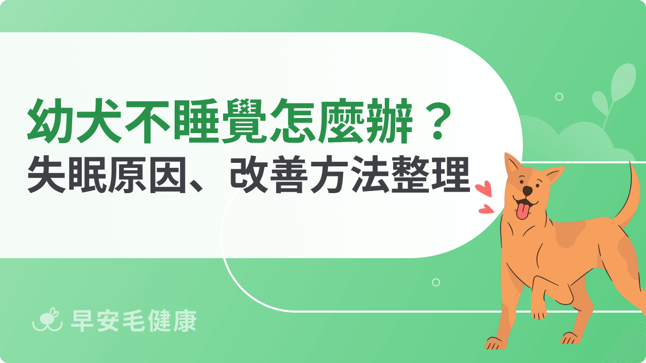 幼犬不睡覺怎麼辦？5大原因＋5步驟建立健康睡眠作息