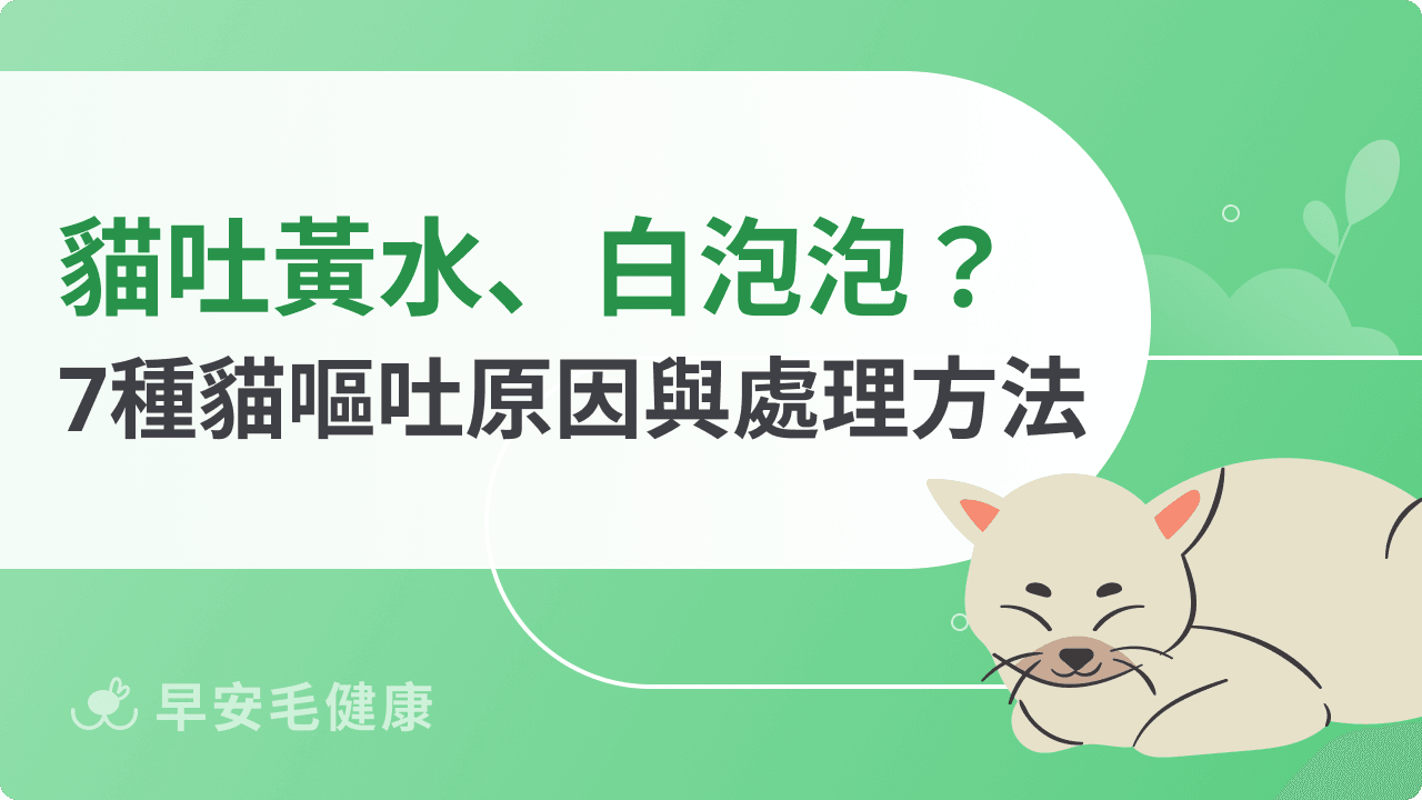 貓吐怎麼辦？吐飼料、吐黃水、白色泡泡7大原因與緊急處理指南