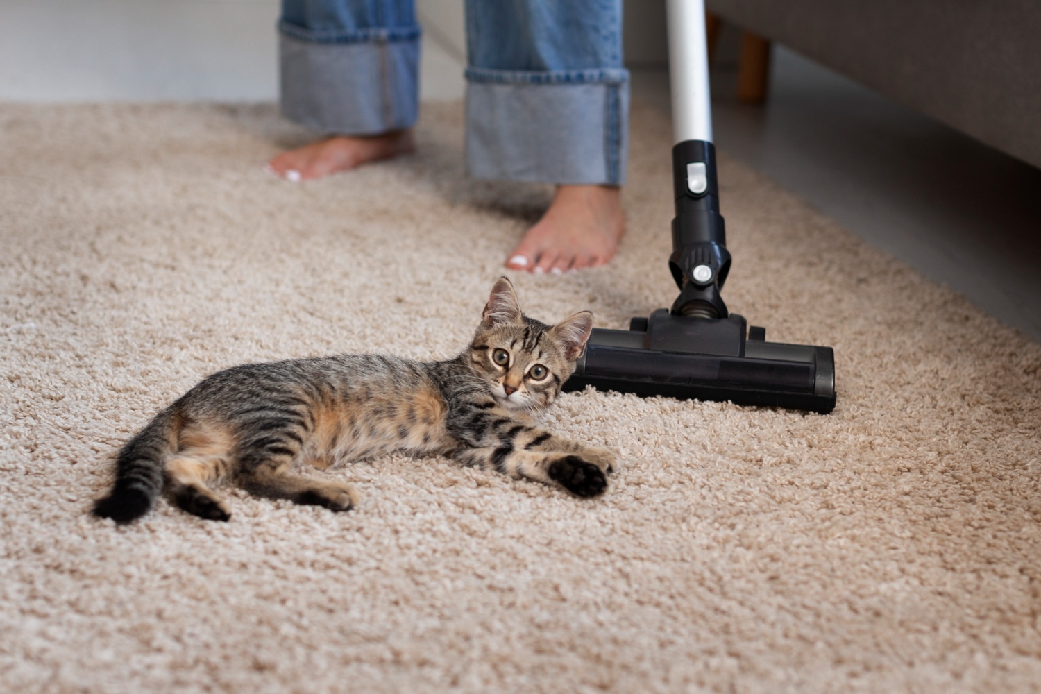 14.cat-hair-allergy-treatment-2