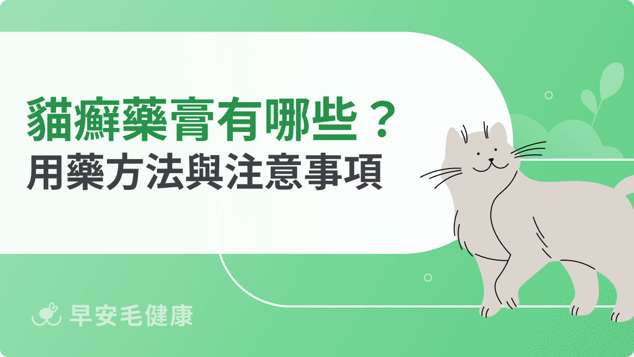 貓癬藥膏有哪些？貓癬藥使用原則、塗抹頻率與注意事項