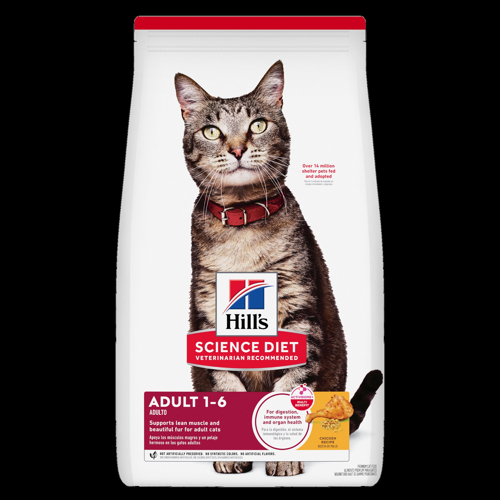 貓飼料推薦 16 款貓飼料分析與推薦理由