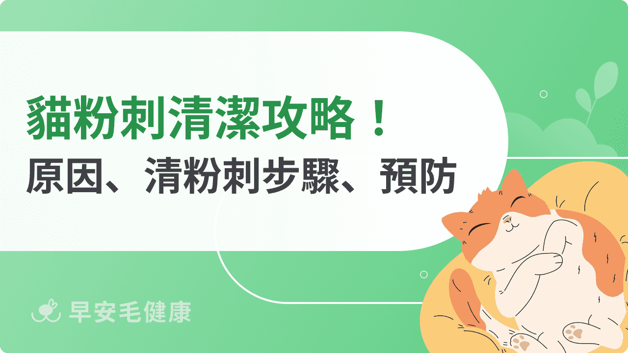 貓粉刺要清理嗎？貓下巴粉刺、發黑原因與清理3步驟！