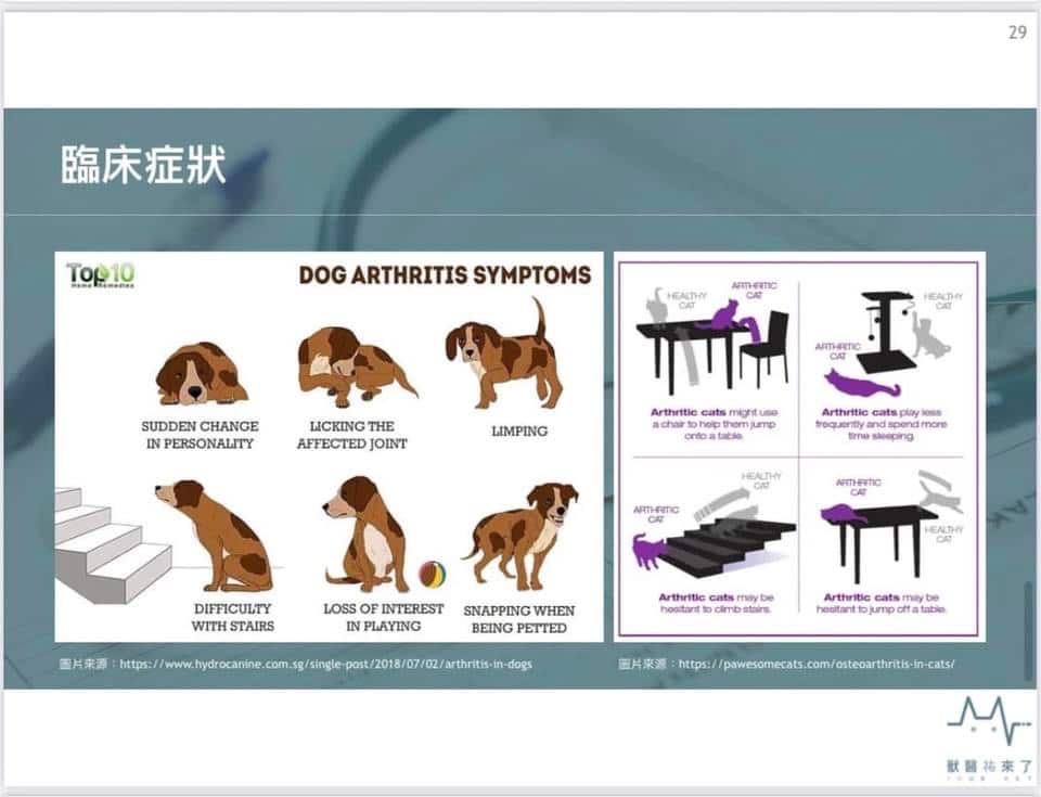 2.mountainvet-pets-osteoarthritis-guide-2
